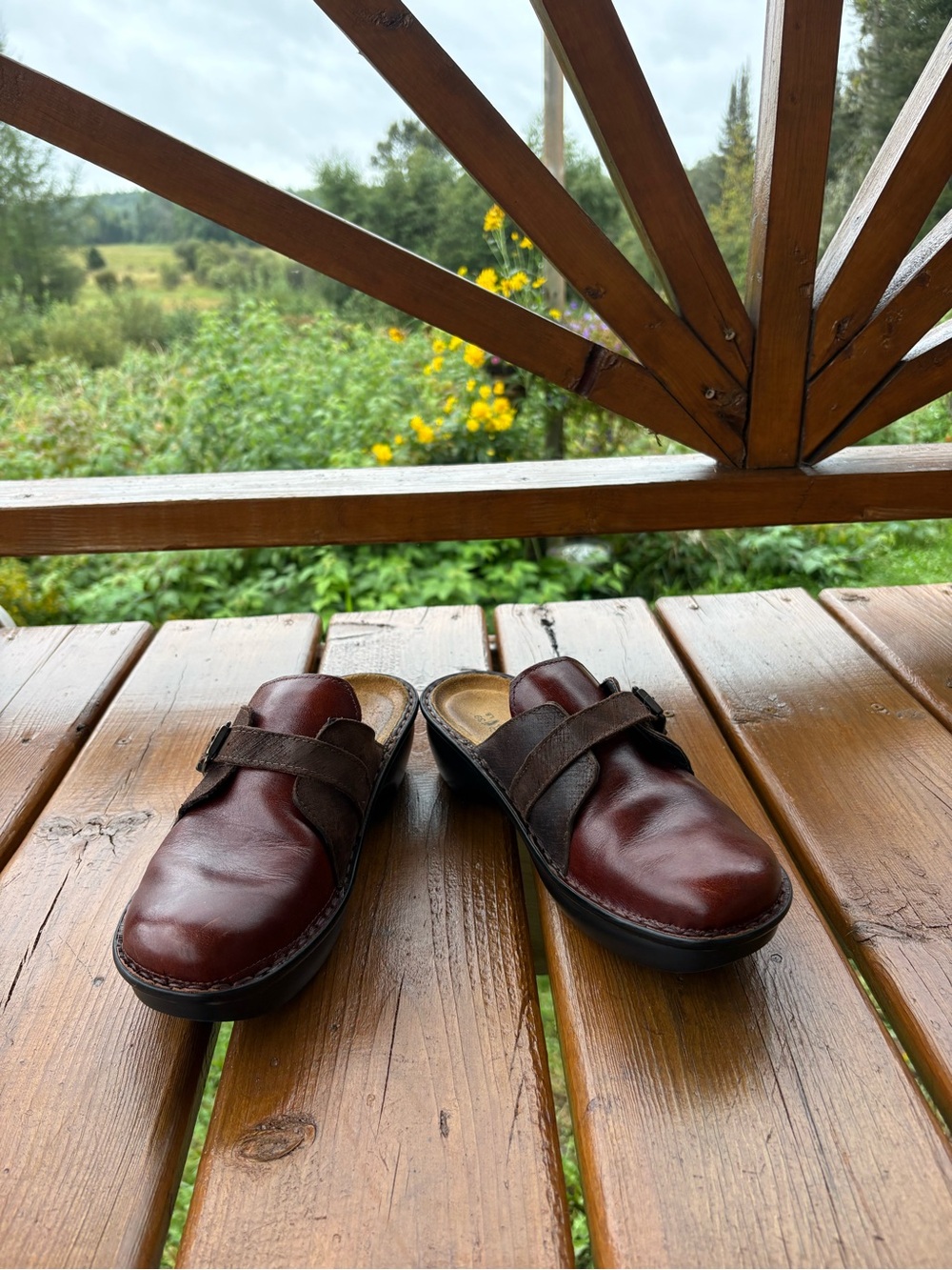 NAOT Burgundy Brown Leather Buckle Clogs EU 39 US 8 Made in Israel